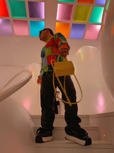 Load image into Gallery viewer, ALEX